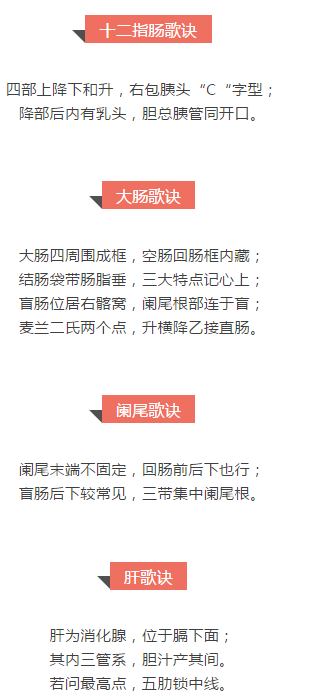 临床执业医师考试消化系统速记口诀